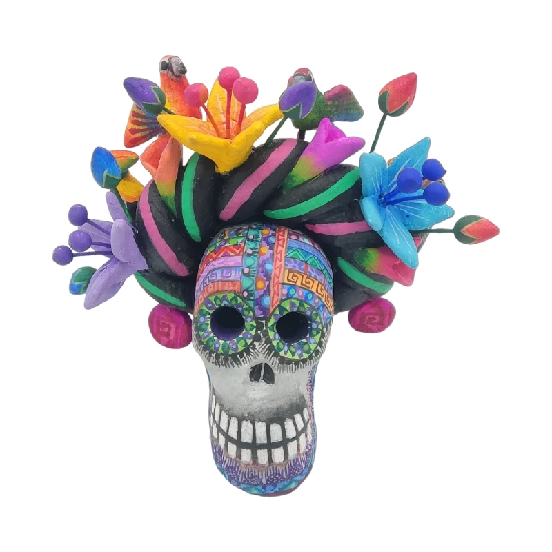 Cráneo de Frida
